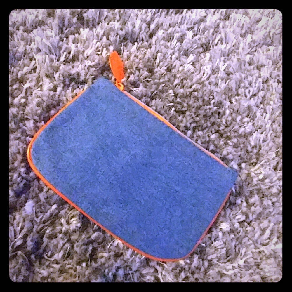 Ipsy Make-up Bag
